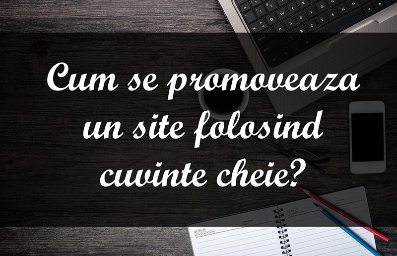 You are currently viewing Cum se promoveaza un site folosind cuvinte cheie? (infografic)